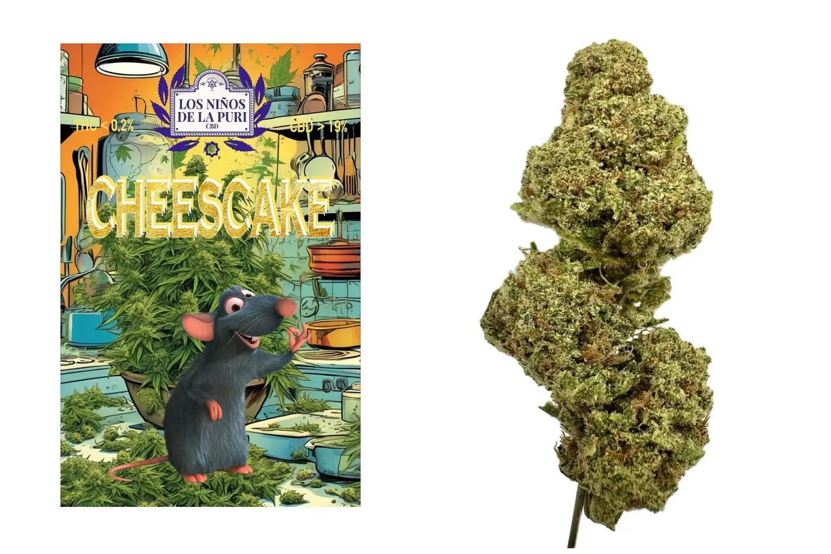 CBD Flores