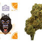 CBD Flores