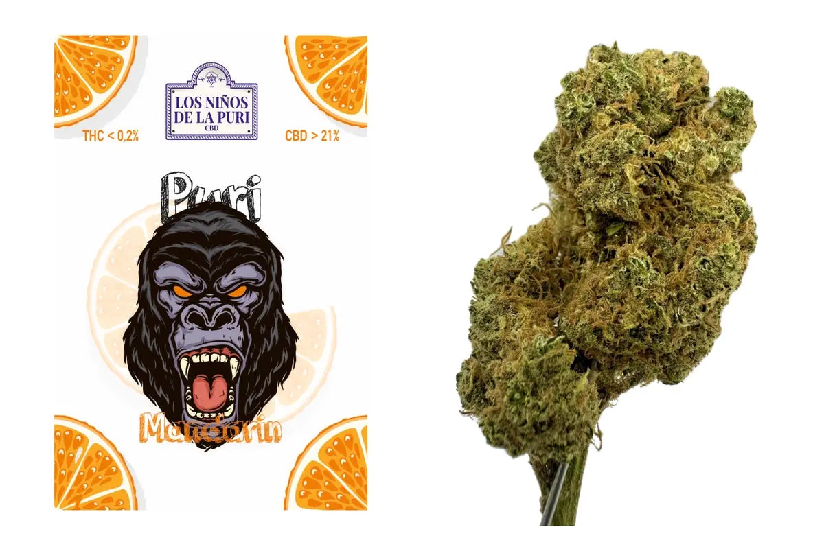 CBD Flores